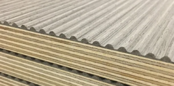 S3 P3 – fine, graphic relief.